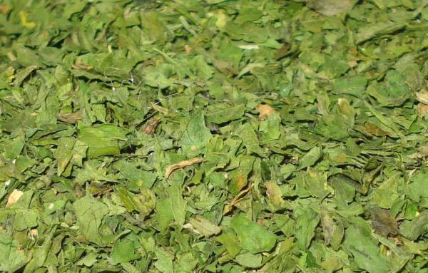 Sellerieblätter 20g